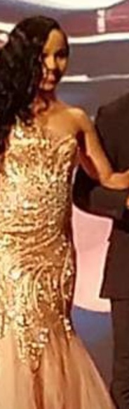 Evening Gown - Picture 2 of 3